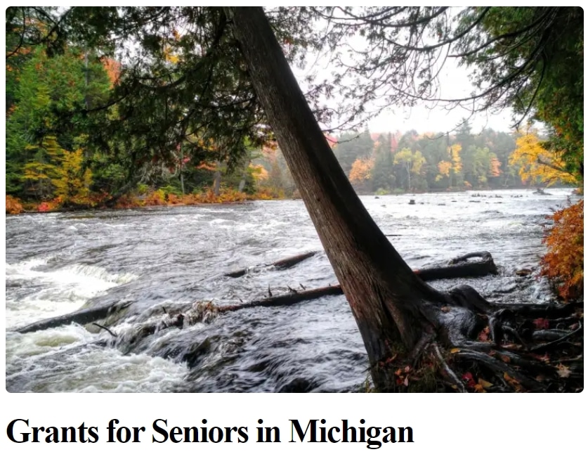 Help for Michigan Seniors
