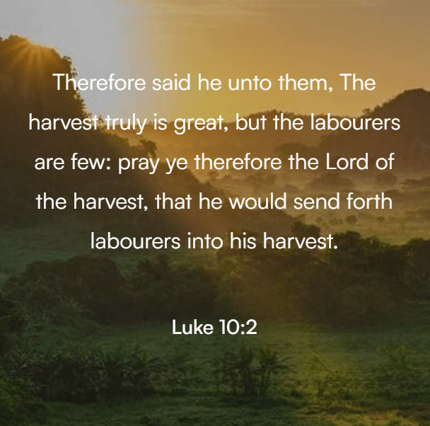 Scripture for Men;s Ministry